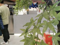 -君之狮子山·轻糖烘焙(松江印象城店)
