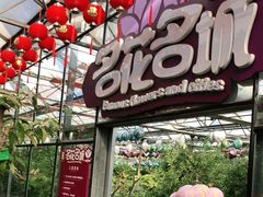 -南宫五洲植物乐园