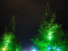 -比弗利花园