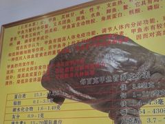 -大圣甲(汉口店)