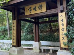 -灵谷景区