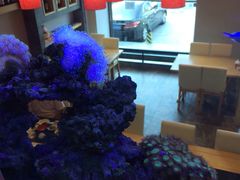 -琴寿司居酒屋(软件园店)