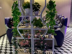 -开普墩Captain网咖俱乐部