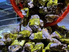 -聚盛源蒸汽海鲜火锅烤肉自助(巨川金海岸购物广场店)