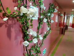 -热带雨林汗蒸馆(汶水东路店)