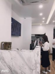 -YESIDO椰岛造型