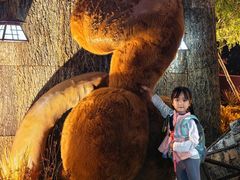 -首开·龙湖成都西宸天街