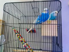 -Rabbit Cafe私房西餐甜点咖啡(栖霞路店)