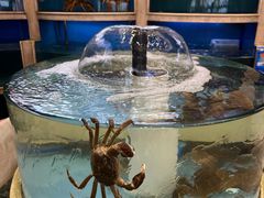 -阳光海鲜城(太仓万达店)