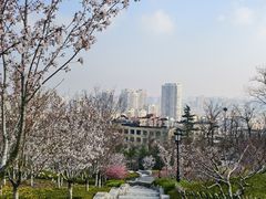 -青岛海滨风景区
