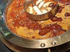 -蜀九香火锅(彩虹店)