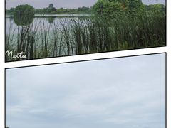 -尚湖风景区