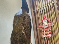 -庄隐阁(悠方广场店)