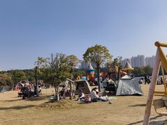 -菊园百果园