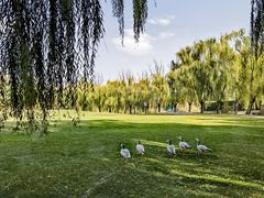 -安立路(地铁站)