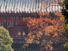 -灵谷景区