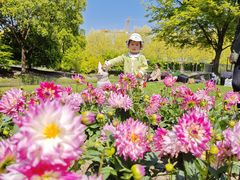 -花开海上生态园
