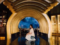 -迪拜帆船酒店海底餐厅