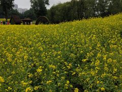 -长白岛森林公园