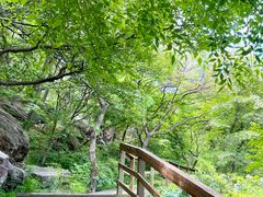 -海上云台山景区