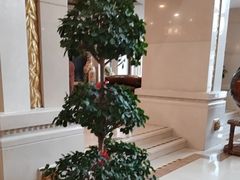 -碧中海汤泉汗蒸酒店