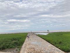 -南汇嘴观海公园