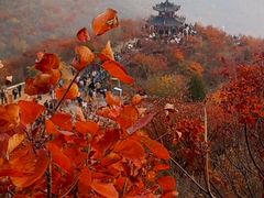 -狼牙山风景区