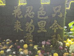 -汇龙潭