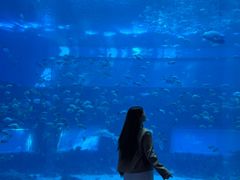 -南昌融创海世界
