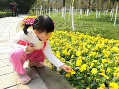 -龙头寺公园
