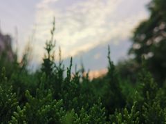 -安庆师范大学(龙山校区)