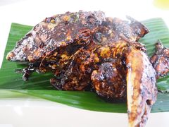 -纽顿熟食中心