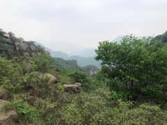 -大岭沟猕猴桃谷风景区