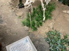 -中国第四纪冰川遗迹陈列馆