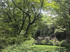 -灵隐飞来峰景区