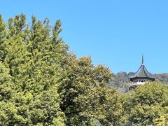 -灵谷景区
