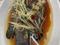 -望海潮海鲜店 特色家常菜(在海一方店)