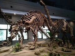 -自贡恐龙博物馆