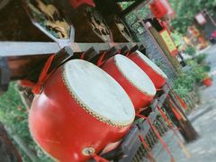 -合肥滨湖国家森林公园