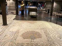 -圣母百花大教堂穹顶