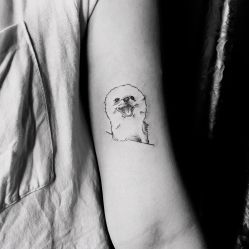 -明星刺青·洗纹身