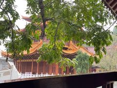 -东天目山风景区