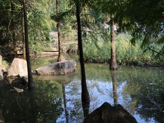 -云溪植物园