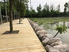 -洪湖家庭农场·团建·露营·会议