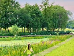 -中国天府农业博览园