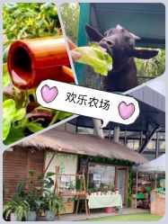 -可可天空农场(中大店)