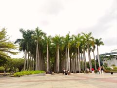 -深圳国际园林花卉博览园