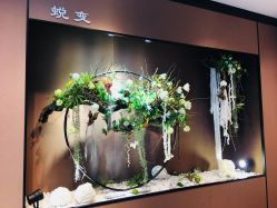 -太湖雪蚕桑文化园