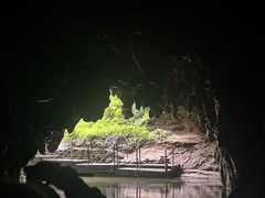 -怀托摩萤火虫洞