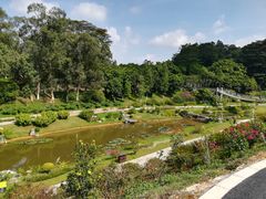 -东莞植物园